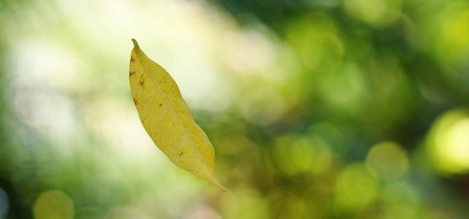 Poesía Ặntiviral – Poemas para la vida [Una acción poética urgente con motivo de la excepcional situación ocasionada por la pandemia del Covid – 19] – XXII – Deben de ser los últimos días – Sebastián Gámez Millán