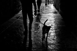 Mis paseos por Granada: mis semejantes, desemejantes y otros antropomorfos [Fotografías] – II – Josefina Martos Peregrín
