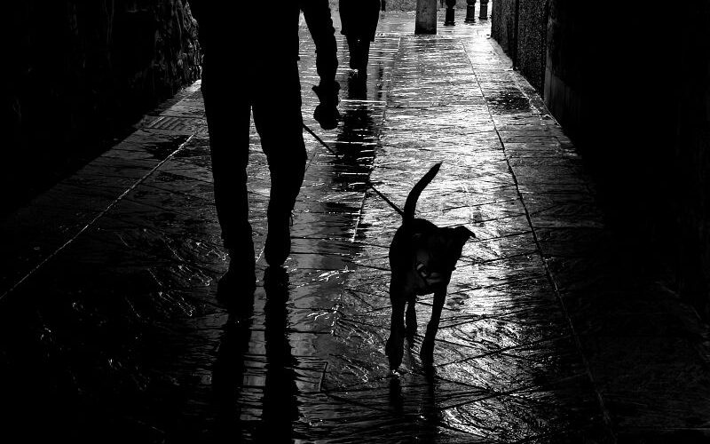 Mis paseos por Granada: mis semejantes, desemejantes y otros antropomorfos [Fotografías] – II – Josefina Martos Peregrín