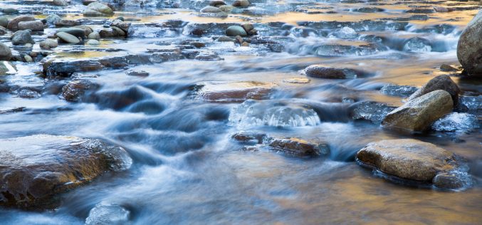 Poesía Ặntiviral – Poemas para la vida [Una acción poética urgente con motivo de la excepcional situación ocasionada por la pandemia del Covid – 19] – XXIII – Poesía, ven y auxíliame – Sebastián Gámez Millán