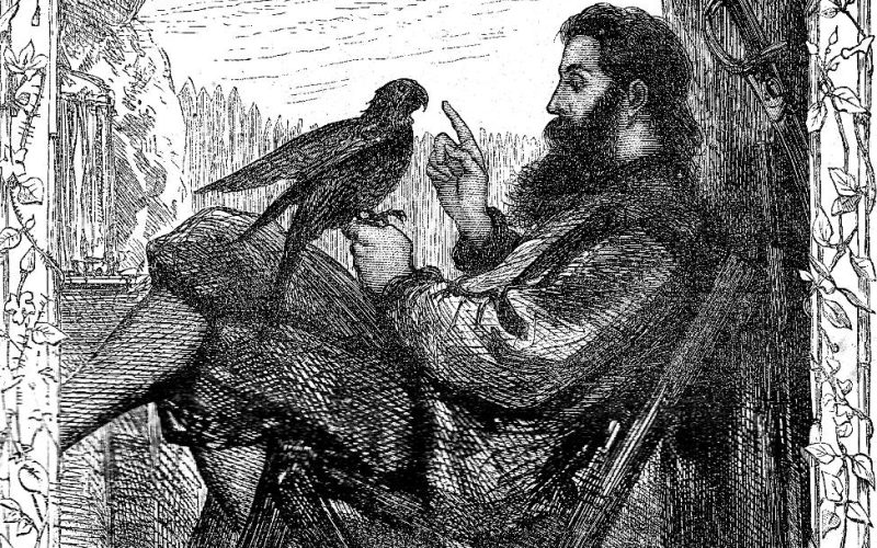 Robinson en su isla [Monólogo para un actor] – II – Susana Cantero Garrido