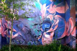 Visiones de Madrid – Imágenes de arte callejero anónimo – III – Café Montaigne