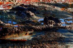 Minas de Riotinto [Fotografías] – III – Josefina Martos Peregrín