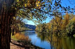 Otoño en Soria [Fotografías] – Virginia Arizmendi Ortega