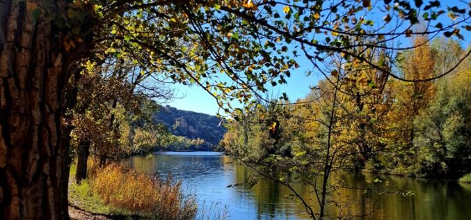 Otoño en Soria [Fotografías] – Virginia Arizmendi Ortega