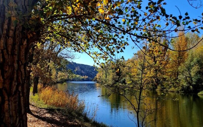 Otoño en Soria [Fotografías] – Virginia Arizmendi Ortega