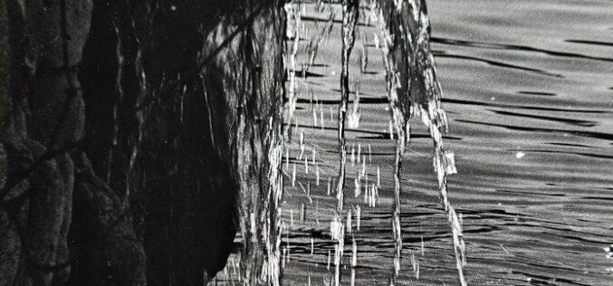 Tratado sobre la levedad de los parques [Fotografías analógicas] – Paula Díaz Altozano