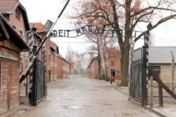 Educar tras Auschwitz [Con motivo de la celebración del Día Internacional de Conmemoración Anual en Memoria de las Víctimas del Holocausto y del octogésimo aniversario de la liberación del Campo de Concentración y Exterminio de Auschwitz-Birkenau – 27 de Enero de 2025] – Sebastián Gámez Millán
