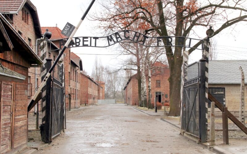Educar tras Auschwitz [Con motivo de la celebración del Día Internacional de Conmemoración Anual en Memoria de las Víctimas del Holocausto y del octogésimo aniversario de la liberación del Campo de Concentración y Exterminio de Auschwitz-Birkenau – 27 de Enero de 2025] – Sebastián Gámez Millán