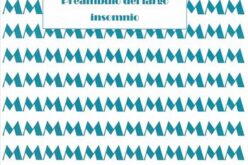 Lamento y júbilo en «Preámbulo del largo insomnio», de Alba Navarro Herrera – Una reseña de Ana Herrera Barba