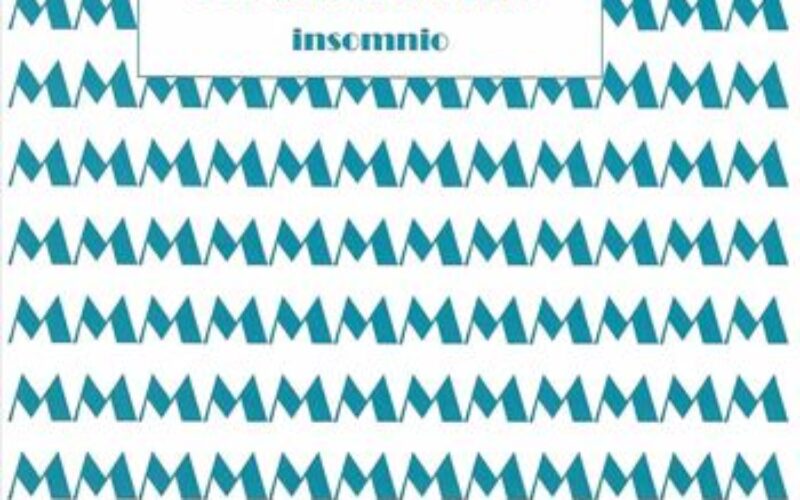 Lamento y júbilo en «Preámbulo del largo insomnio», de Alba Navarro Herrera – Una reseña de Ana Herrera Barba