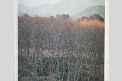 ‟Levántate del lecho, amiga mía, vente conmigo, que el invierno es ido, y las flores nos muestran ya alegría” – Acerca de María Zambrano – Luis Roca Jusmet