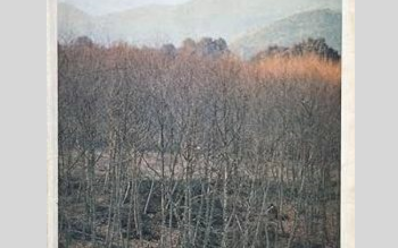 ‟Levántate del lecho, amiga mía, vente conmigo, que el invierno es ido, y las flores nos muestran ya alegría” – Acerca de María Zambrano – Luis Roca Jusmet