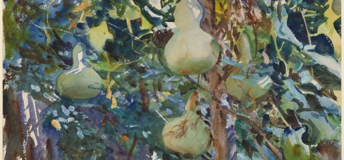 Calabaza, calabaza… – Un relato de Tomás Gago Blanco