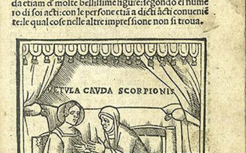 «Vides quae sim et quae fui ante» – Siete alcahuetas – VII – Fernando de Rojas / «La Celestina» – Santiago Blanco del Olmo