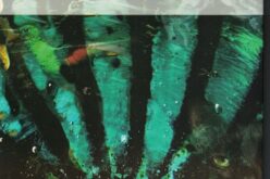 «Cuentos desobedientes seguidos de malabarismos», de Josefina Martos Peregrín – Una reseña de Sebastián Gámez Millán