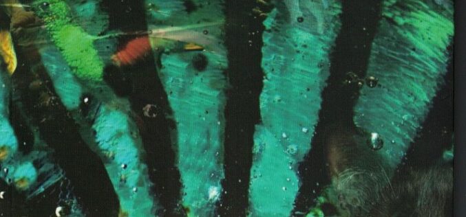 «Cuentos desobedientes seguidos de malabarismos», de Josefina Martos Peregrín – Una reseña de Sebastián Gámez Millán