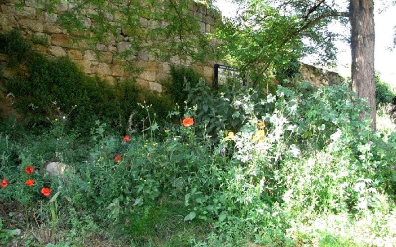 Fiesta de novios los fines de semana [de «Contes i Poemes» / «Cuentos y Poemas»] – Un cuento-poema de Albert Tugues