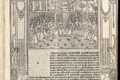 Lecturas – XII – Rafael Massa