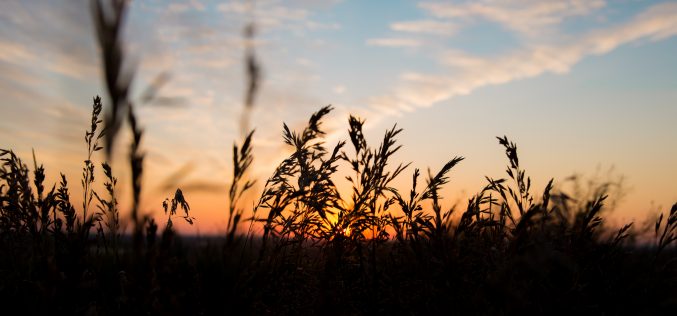 En época de rosas – «El sueño de la Primavera» [Primera antología breve de poesía] – XXXVIII – Luis Carlos Yepes Fernández