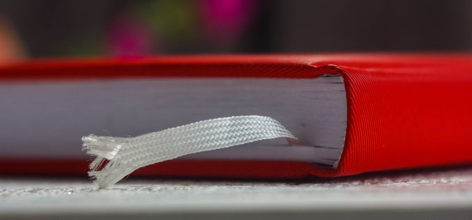 Diarios – [El habitante del Otoño – Segunda antología de cuentos y relatos breves – XIV] – Íñigo Palencia