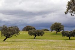 Extremadura / Ekstremaduro – Un poema de Jorge Camacho Cordón