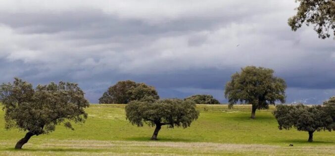 Extremadura / Ekstremaduro – Un poema de Jorge Camacho Cordón