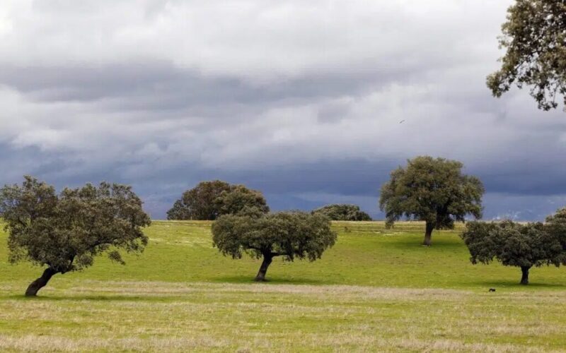 Extremadura / Ekstremaduro – Un poema de Jorge Camacho Cordón