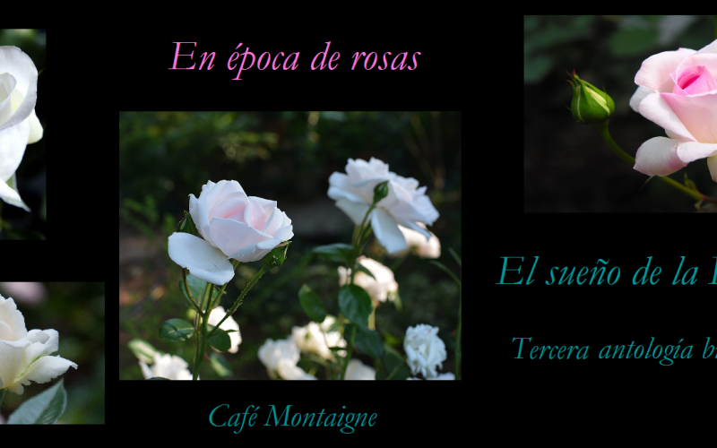 En época de rosas – El sueño de la Primavera [Tercera antología breve de poesía] – II – Gloria Jimeno Castro