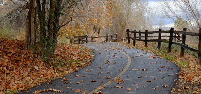 Una sonrisa desconcertante – [El habitante del Otoño – Segunda antología de cuentos y relatos breves – X] – Antonio Villaba Moreno