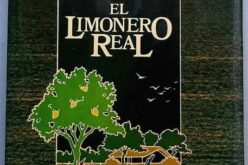 Lecturas – X – Rafael Massa