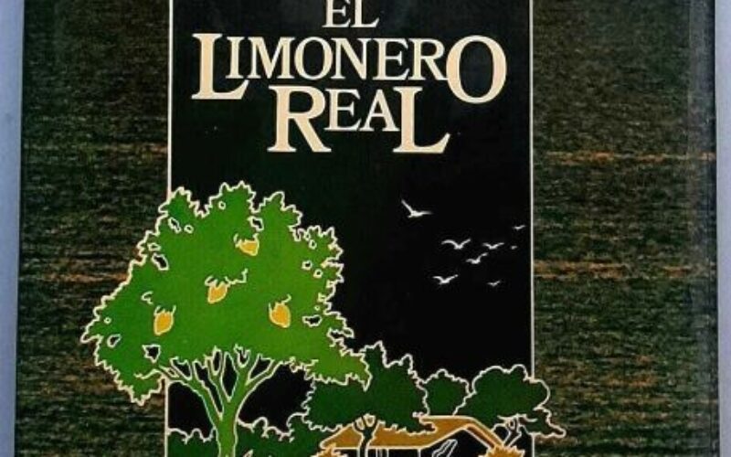 Lecturas – X – Rafael Massa