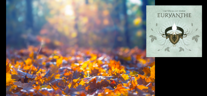 Matriusca – [El habitante del Otoño – Segunda antología de cuentos y relatos breves – V] – Silvia Olivero Anarte
