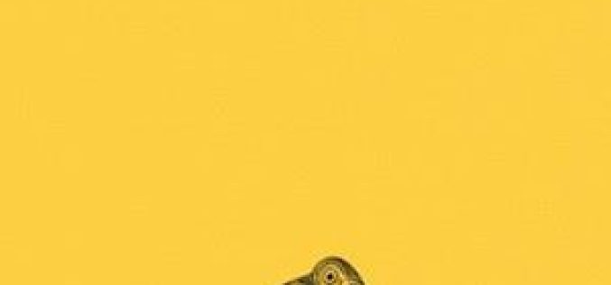 «De Exilio», de Favorino de Arlés – Traducción [por vez primera al español] a cargo de Santiago Blanco del Olmo / Edición crítica de Santiago Blanco del Olmo & José Miguel García Ruiz – II [Introducción]