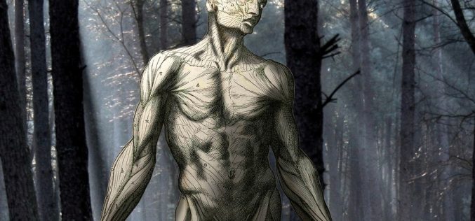 Con motivo del bicentenario de la publicación de «Frankenstein, o el moderno Prometeo» – «Frankenstein» y el mundo de hoy – José Olivero Palomeque