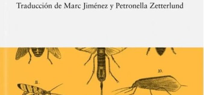 La trampa Malaise – A propósito de «El arte de coleccionar moscas», de Fredrik Sjöberg – César Rodríguez de Sepúlveda