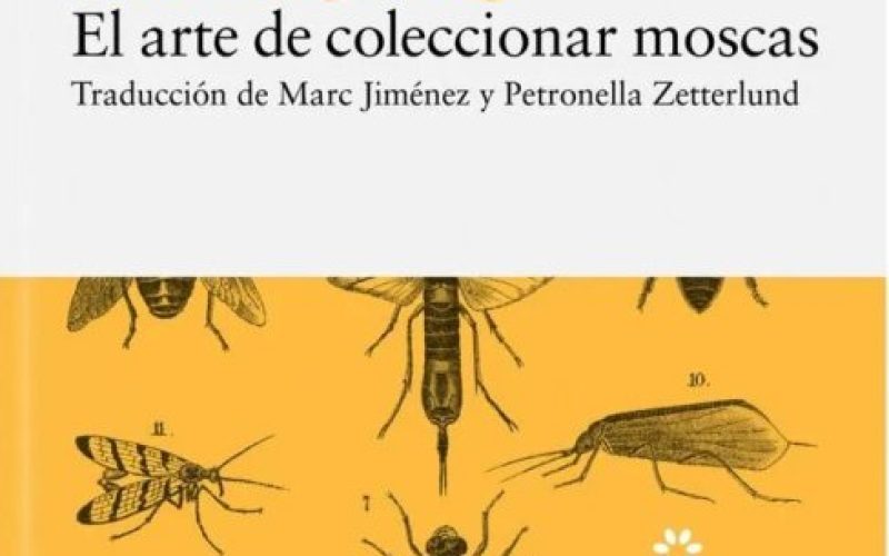 La trampa Malaise – A propósito de «El arte de coleccionar moscas», de Fredrik Sjöberg – César Rodríguez de Sepúlveda