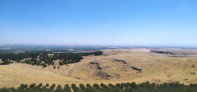 Göbekli Tepe and the Origins of Science – I – Martin Sweatman