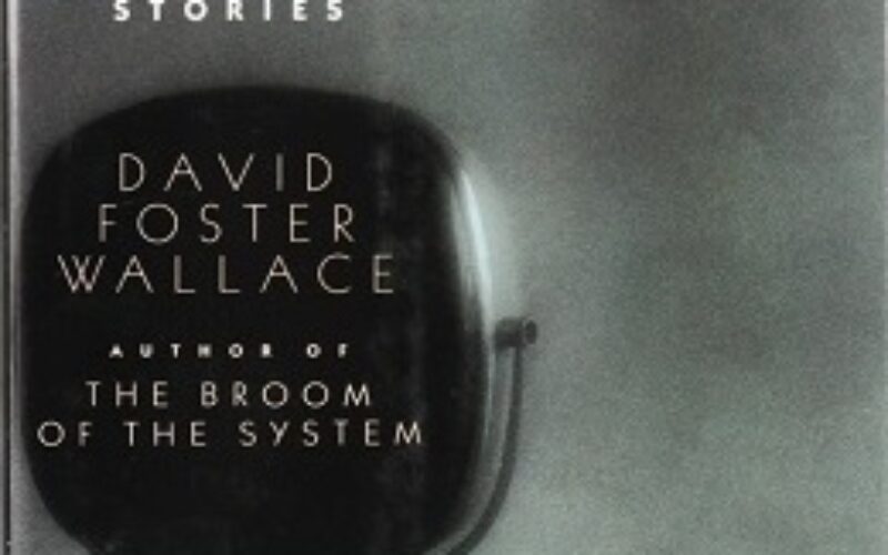 Pesadilla de autoconciencia & Gestión de insignificancia – En torno a los cuentos de David Foster Wallace – José Biedma López