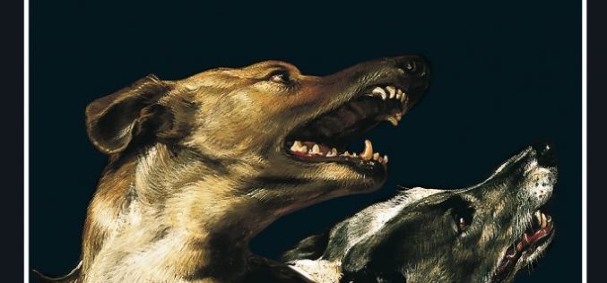 Serie Kurt Wallander, de Henning Mankell – II [Segunda entrega: «Los perros de Riga»] – Fuensanta Niñirola