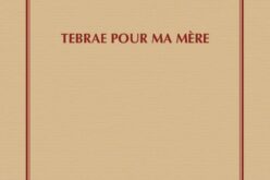 Il deserto come esperienza del cuore / Desert as an experience of the heart / El desierto como experiencia del corazón: «Tebrae», de Ismaël Diadié Haïdara – Rosella Nicolló [Traducción al inglés y al español de Virginia Fernández Collado] – II