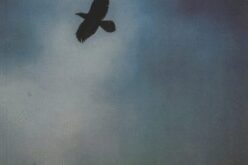 Il deserto come esperienza del cuore / Desert as an experience of the heart / El desierto como experiencia del corazón: «Tebrae», de Ismaël Diadié Haïdara – Rosella Nicolló [Traducción al inglés y al español de Virginia Fernández Collado] – I