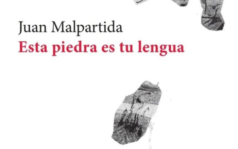 «Esta piedra es tu lengua», de Juan Malpartida – Una reseña de Sebastián Gámez Millán