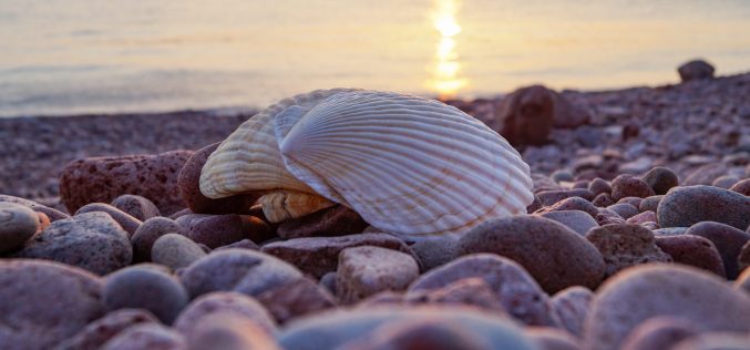 Poesía Ặntiviral – Poemas para la vida [Una acción poética urgente con motivo de la excepcional situación ocasionada por la pandemia del Covid – 19] – XVIII – Mi padre es mi mar particular – Natalia María Arrondo Asensio