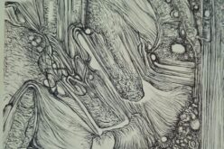 Ut pictura poesis – Lágrima densa de orfebre – Un poema & Un dibujo de Rafael Guardiola Iranzo