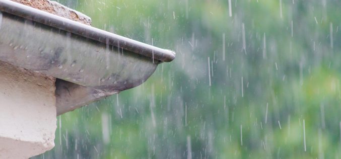 Día de lluvia – Un cuento de Carmen Roiz