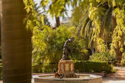 La isla – Rafael Baeza Rodríguez