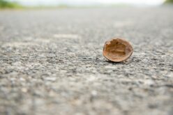 Minima Moralia – Diez poemas breves – I – Tomás Salas