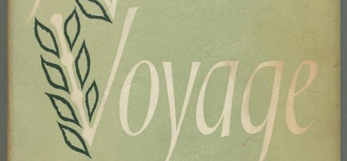 Simplemente en la hierba – Acerca del trabajo poético de Mary Oliver – Virginia Fernández Collado