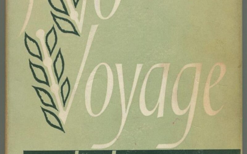 Simplemente en la hierba – Acerca del trabajo poético de Mary Oliver – Virginia Fernández Collado